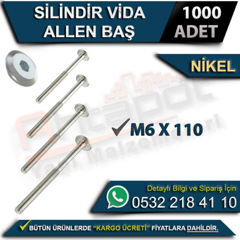 Silindir Vida Allen Baş M6x110 Nikel (1000 Adet)