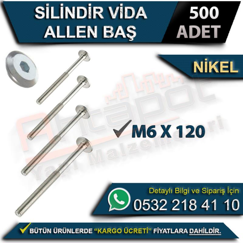Silindir Vida Allen Baş M6x120 Nikel (500 Adet)