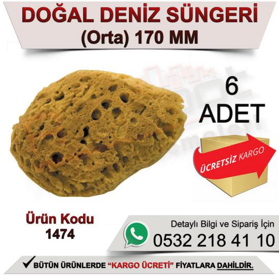 Dekor 1474 Doğal Deniz Süngeri Orta 17 Cm (6 Adet)