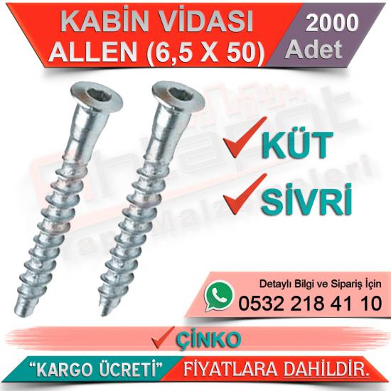 Kabin Vidası Allen Sivri 6,5x50 Çinko (2000 Adet)