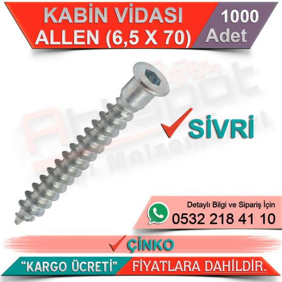 Kabin Vidası Allen Sivri 6,5x70 Çinko (1000 Adet)