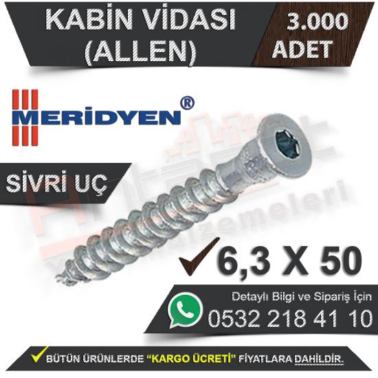 Meridyen Kabin Vidası 6.3X50 (Allen) Sivri Uç (3.000 Adet), Meridyen, Kabin, Vidası, 6.3X50, (Allen), Sivri, Uç, Meridyen Kabin Vidası, 6.3X50 (Allen) Sivri Uç Kabin Vidası, Kabin Vidası, 6.3X50 Kabin