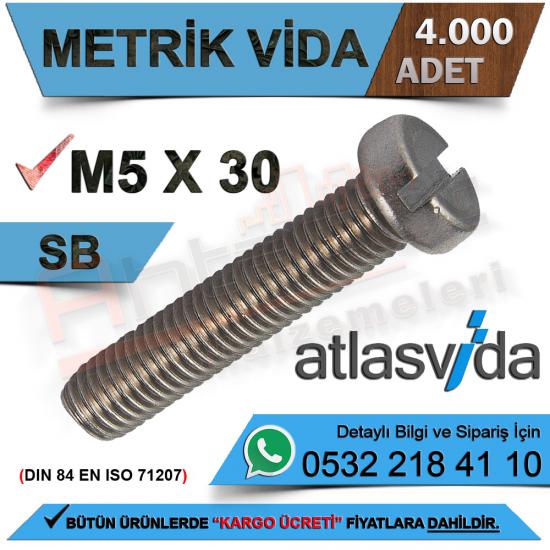 Atlas Metrik Vida Sb M5.0X30 Dın-84 (4.000 Adet)