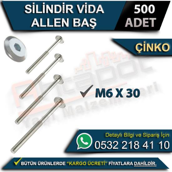 Silindir Vida Allen Baş M6x30 Çinko (500 Adet), Silindir Vida Allen Baş M6x30 Çinko, Silindir, Vida, Allen, Baş, M6x30, Çinko, Silindir Vida, Allen Baş Vida, M6x30 Çinko Vida, Silindir Vida Allen, M6