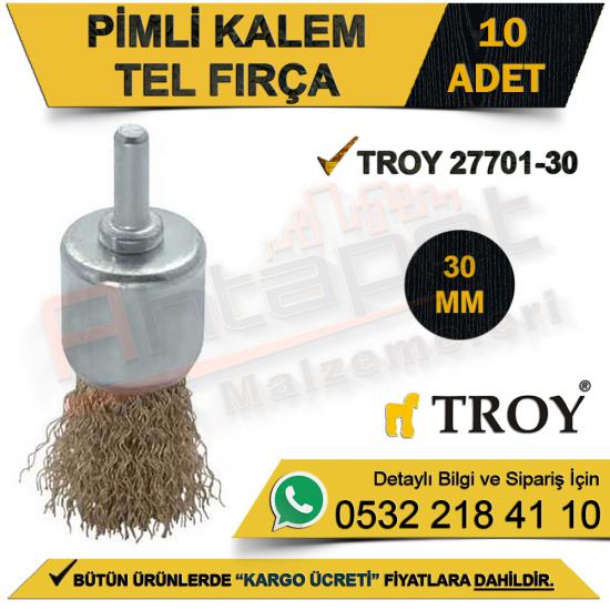 Troy 27701-30 Pimli Kalem Tel Fırça 30  Mm (10 Adet)